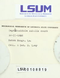 Septobasidium sabalis image