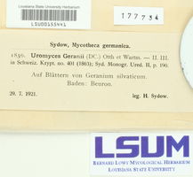 Uromyces geranii image