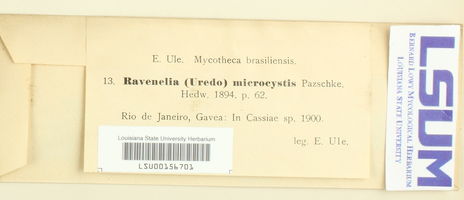 Ravenelia microcystis image