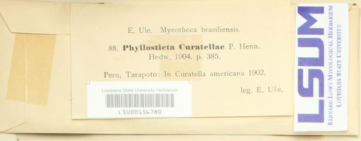 Phyllosticta curatellae image