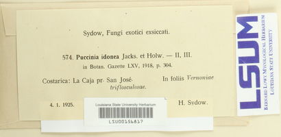 Puccinia idonea image