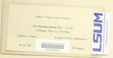 Puccinia mitrata image