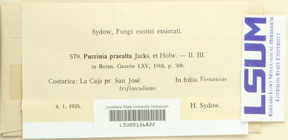 Puccinia praealta image