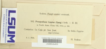 Prospodium lippiae image