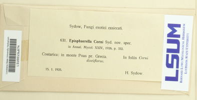 Episphaerella corni image