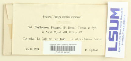 Phyllachora dolichogena ssp. phaseoli image