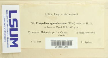 Prospodium appendiculatum image