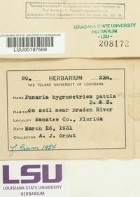 Funaria hygrometrica image
