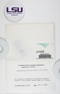 Anisomeridium biforme image